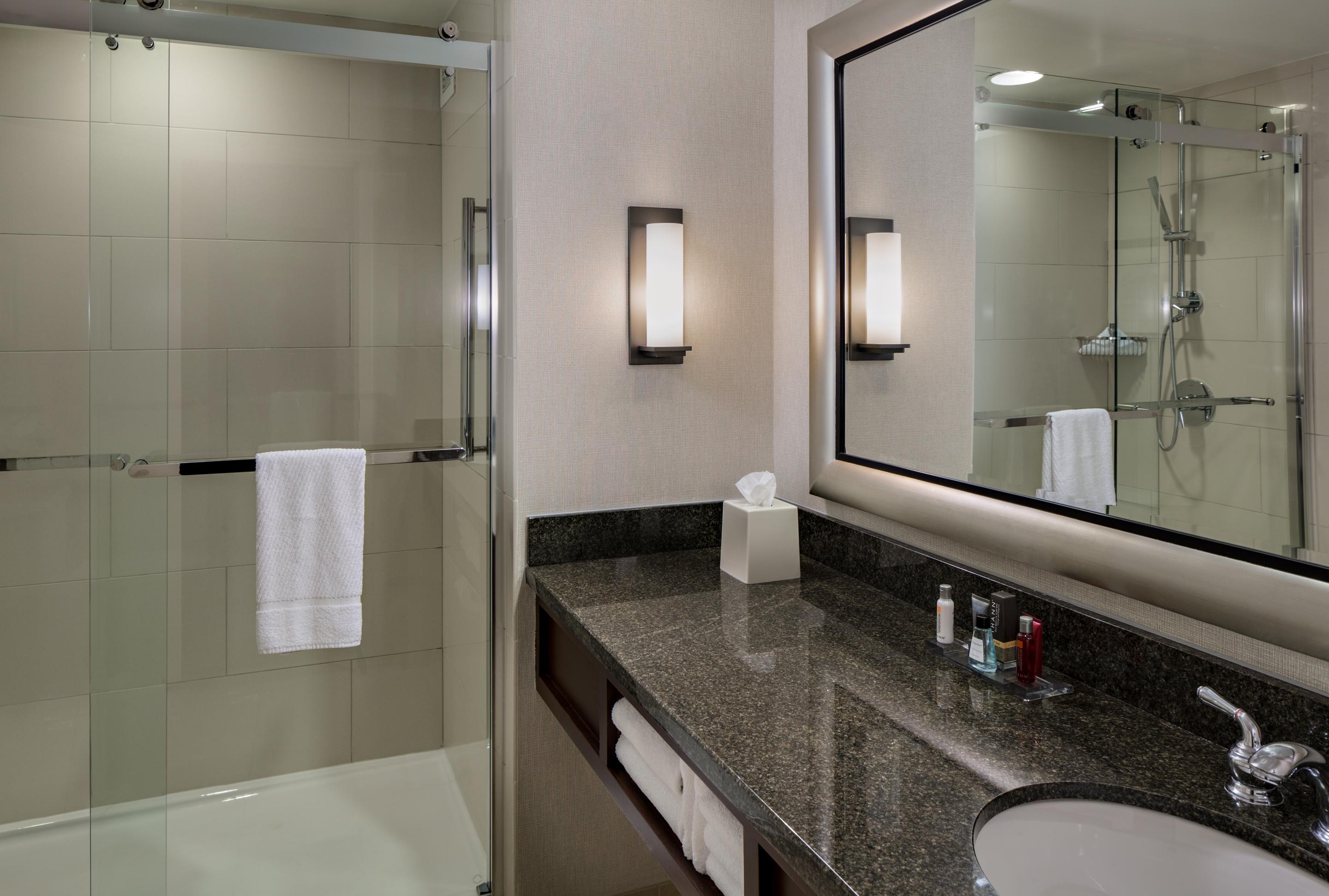 One-Bedroom King Suite