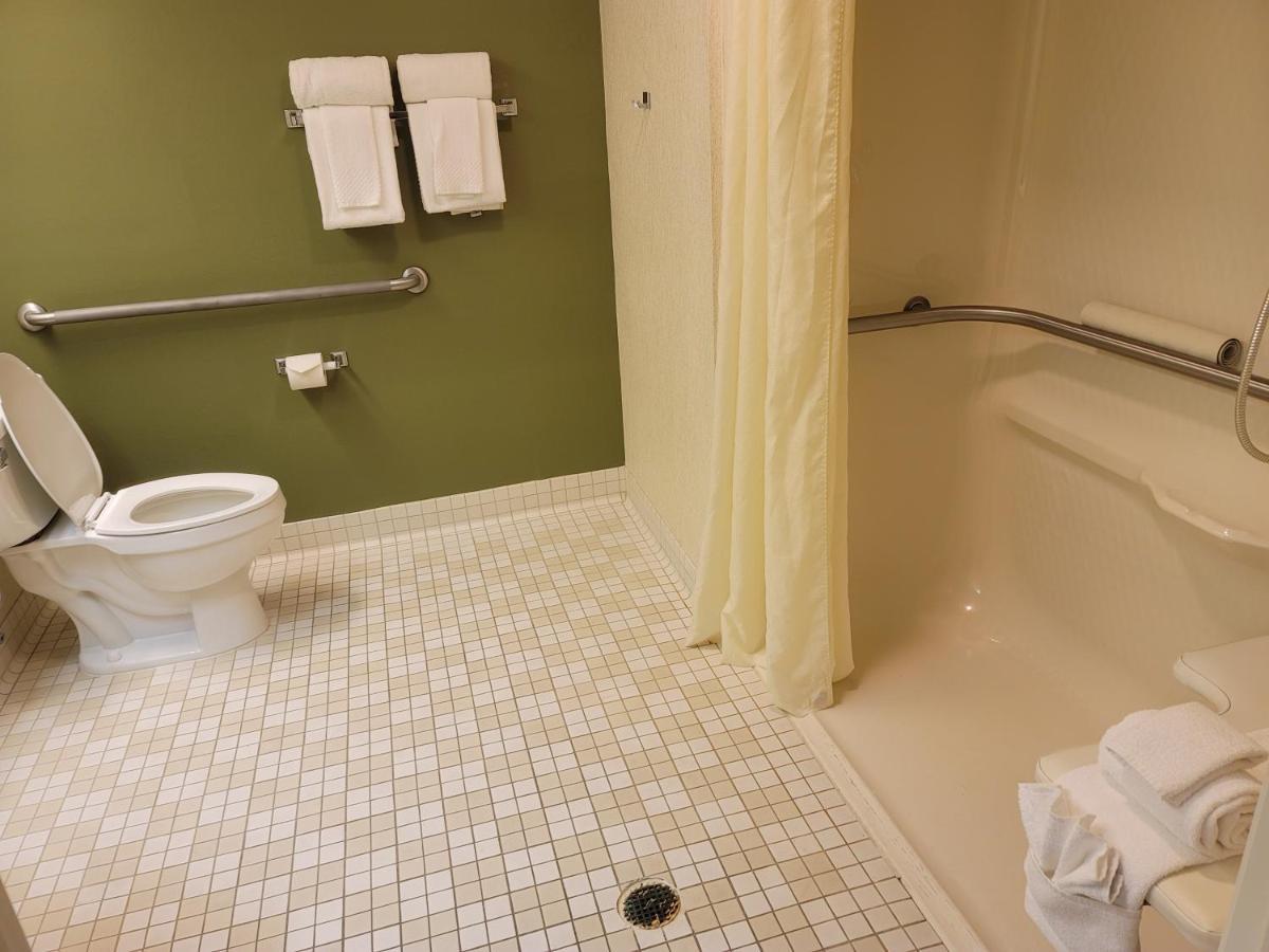 Queen Room with Roll-In Shower - Accessible/Non-Smoking