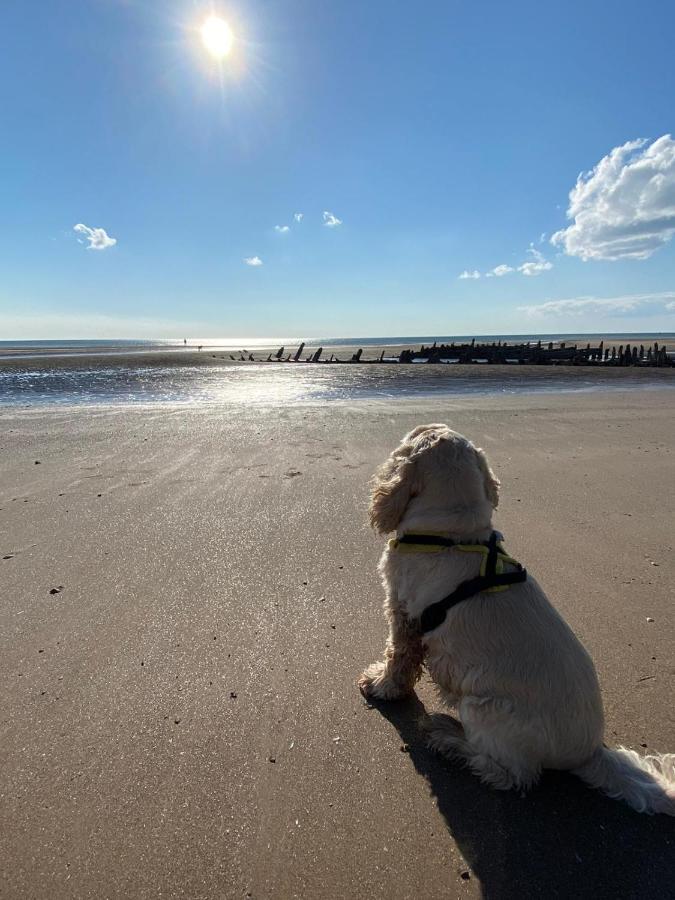 Deluxe Double Room with Shower,1083208852:JPEG