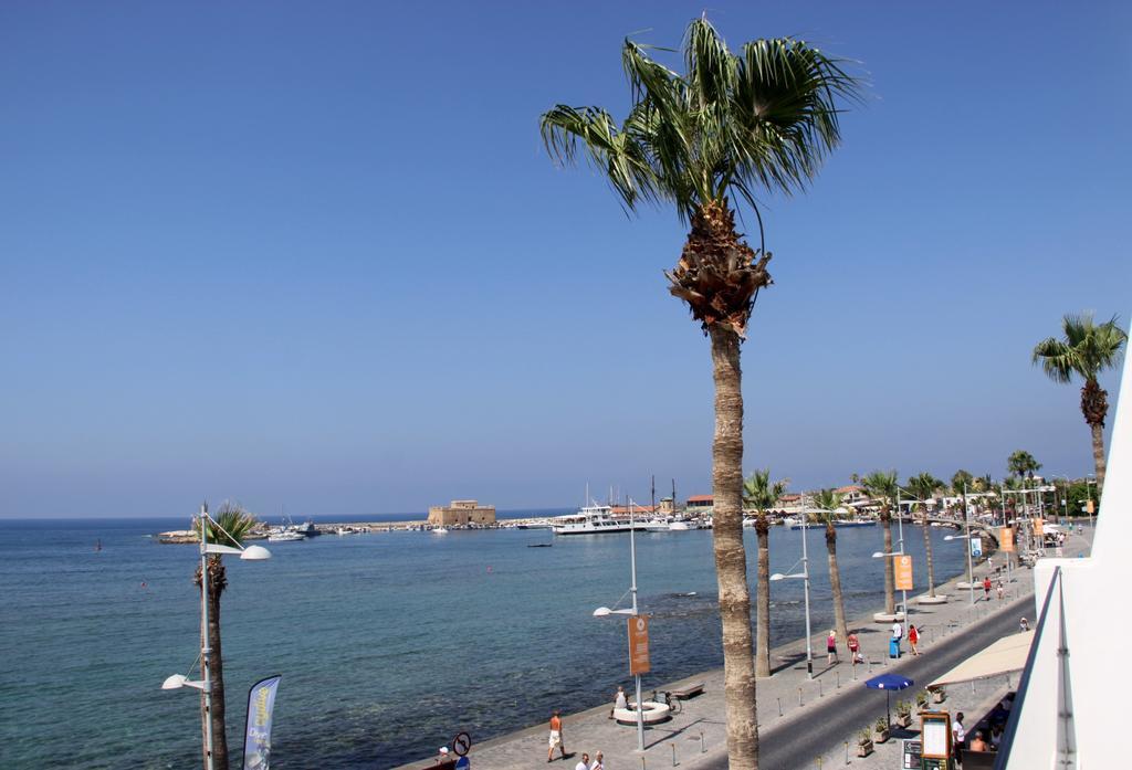 Superior Studio with Sea View,109938519:JPEG