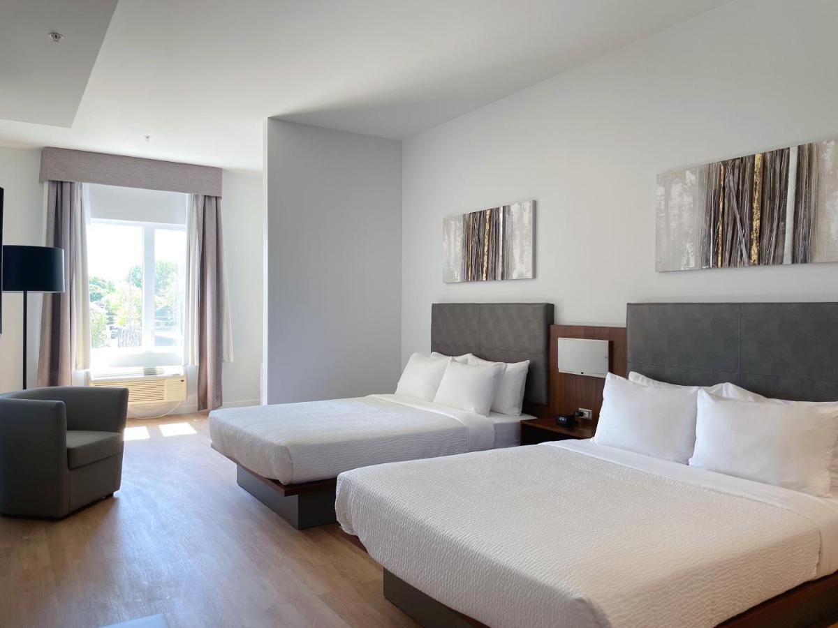 Queen Suite with Sofa Bed  - No Pets/Non Smoking