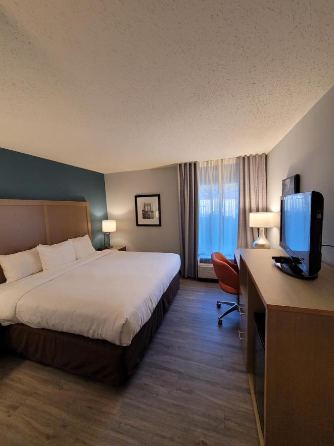 King Room - Disability Access