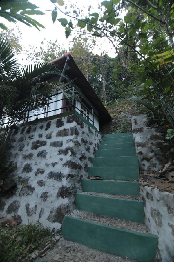 Double or Twin Room with Mountain View