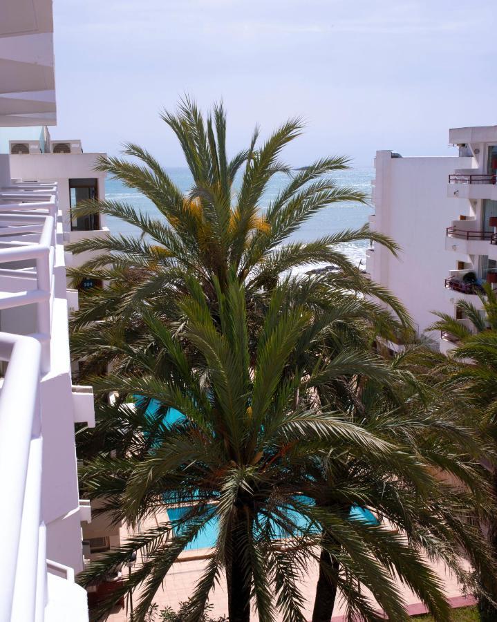 Superior Apartment Garden View