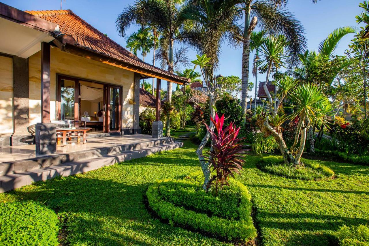 Deluxe One-Bedroom Villa