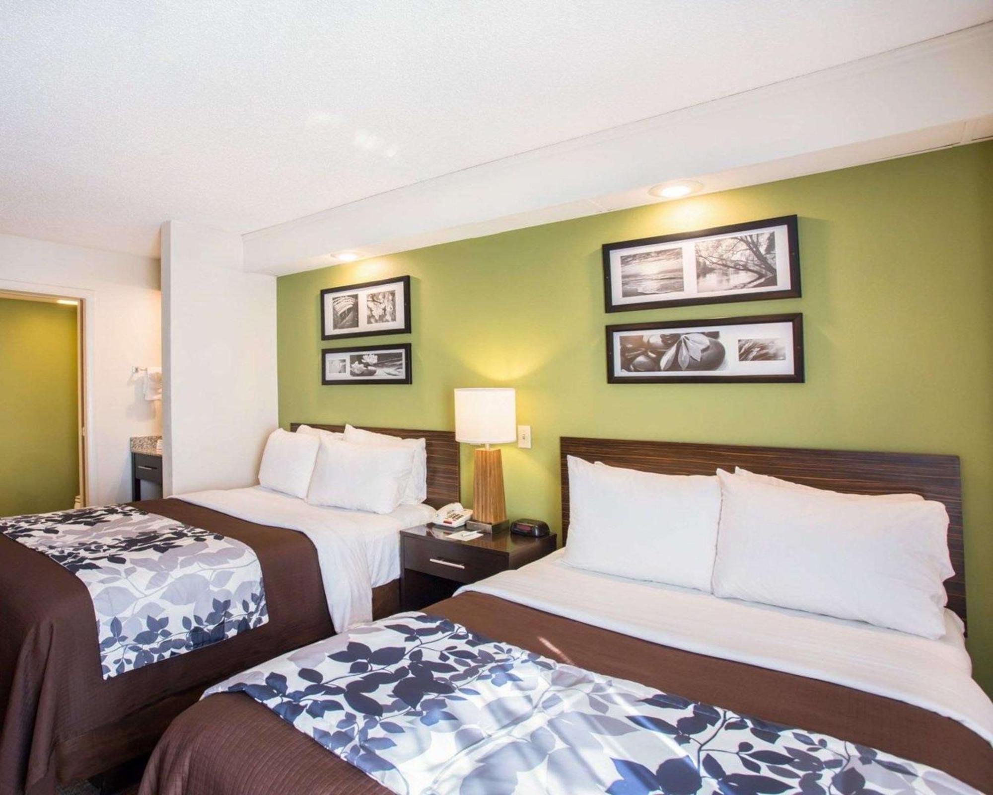 Double Room with Two Double Beds