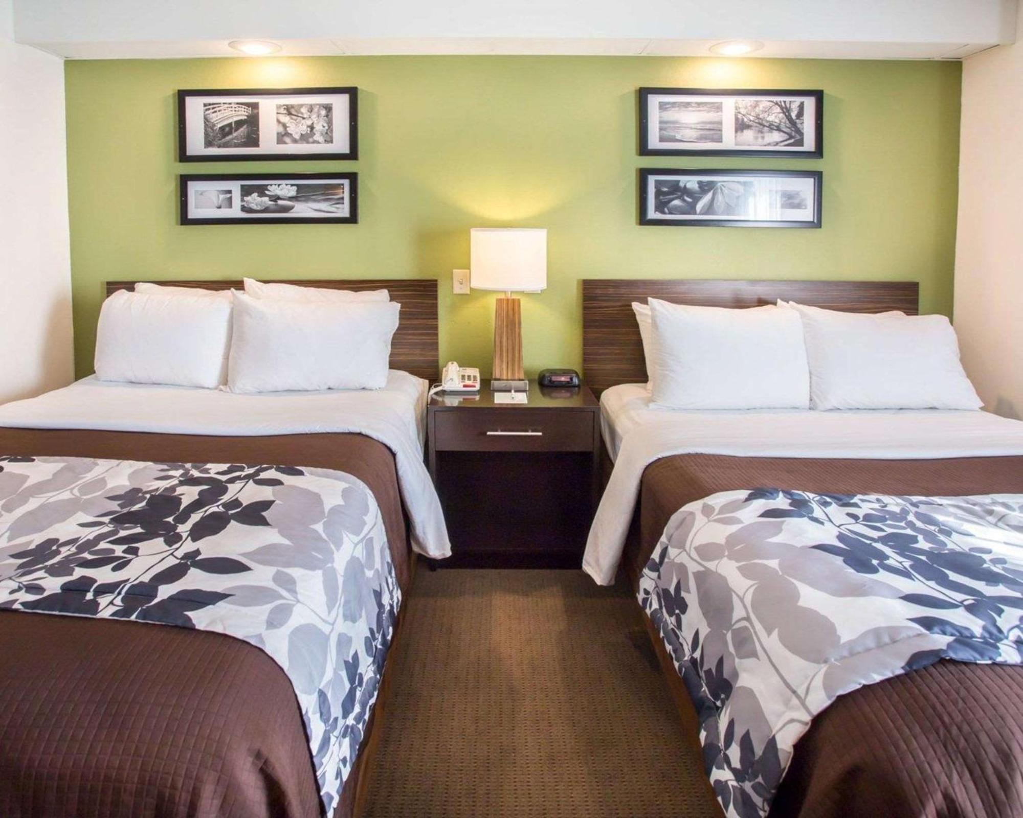 Double Room Two Double Beds