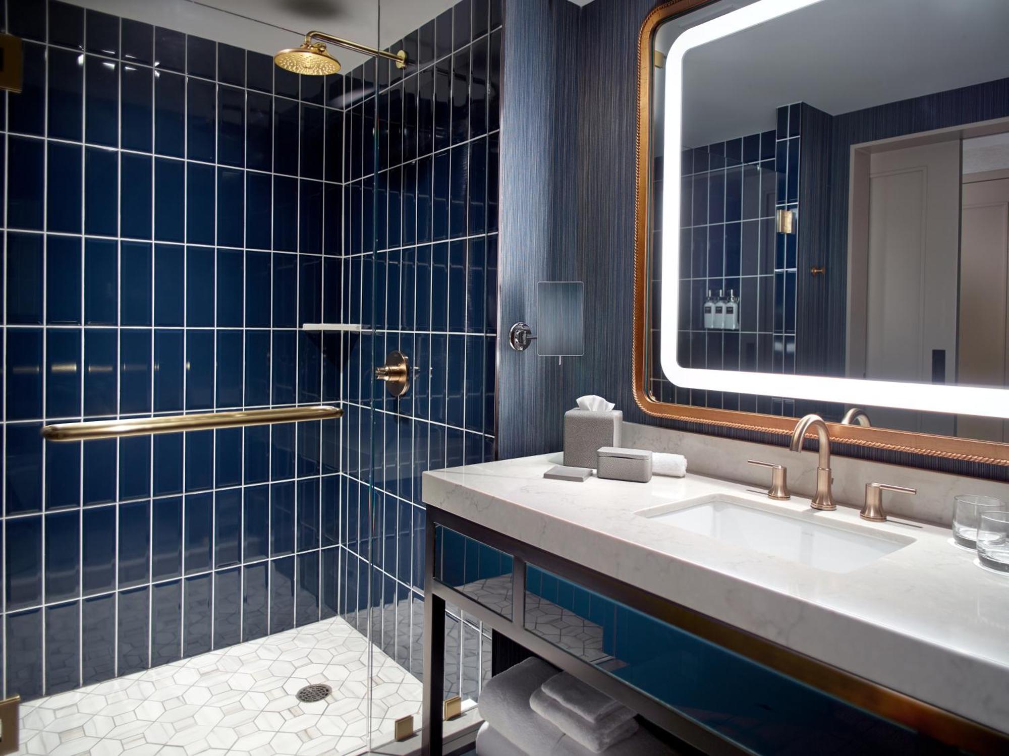 Accessible Deluxe Room with Roll in Shower King Bed