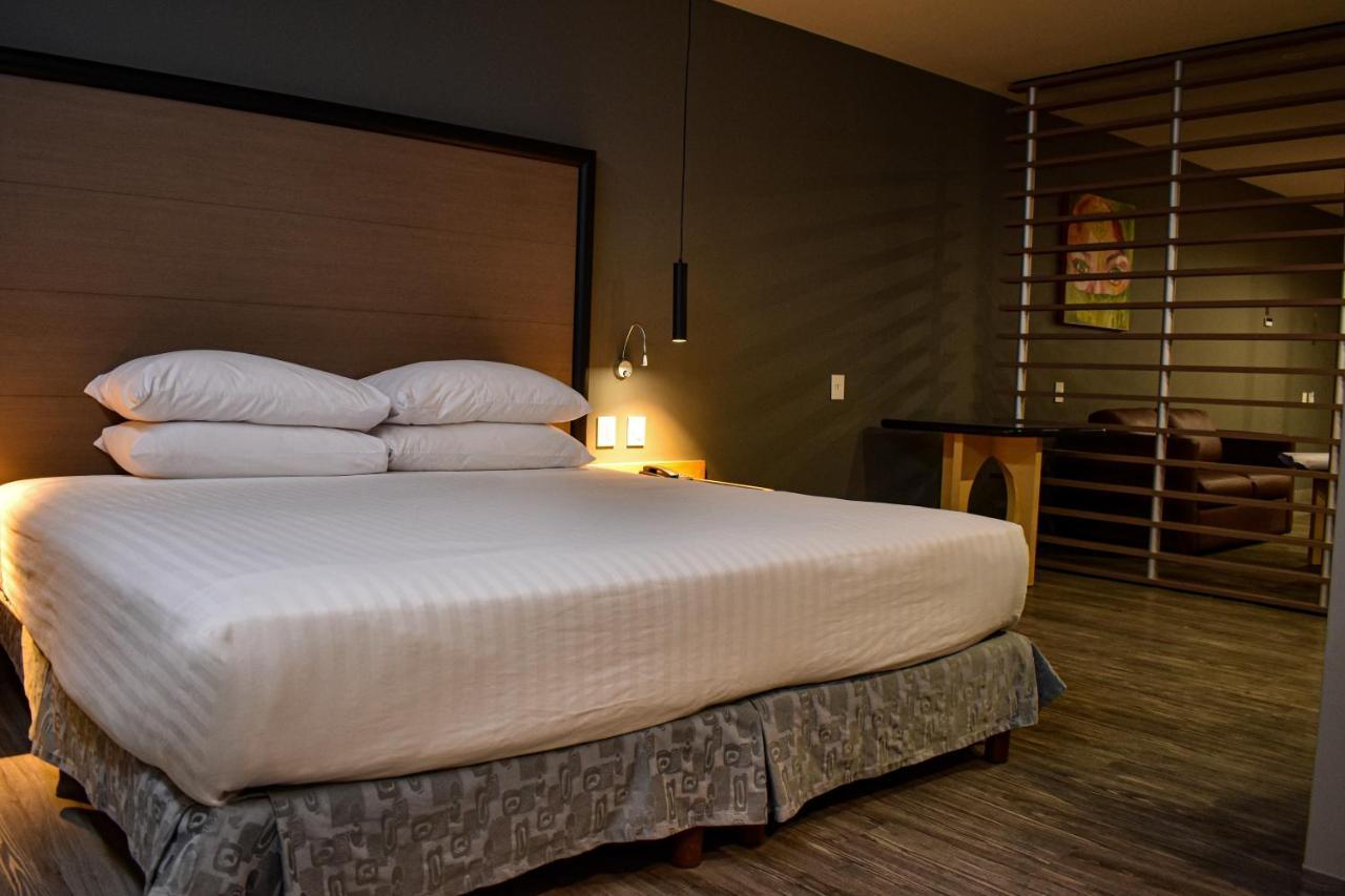 1 King Bed, Suite Terrace, Non-Smoking