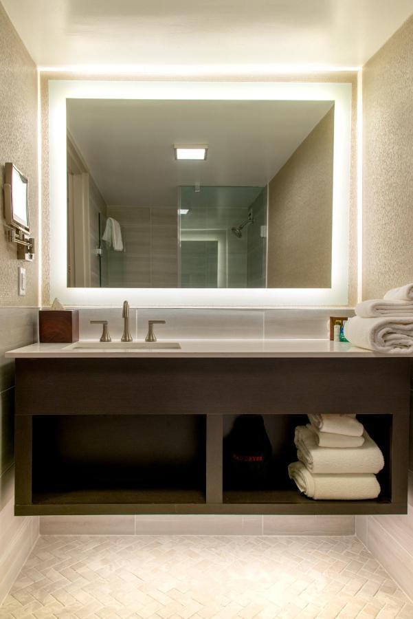 Standard King Room Accessible Roll Shower