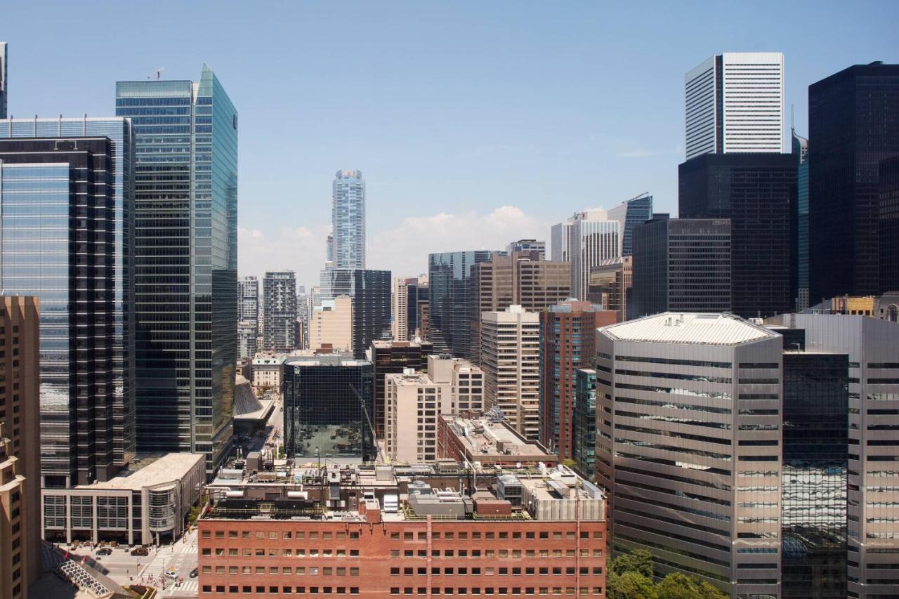 Large Luxury Studio with King Bed and Sofa Bed and CN Tower View