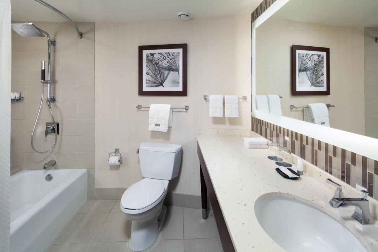 Traditional, Guest room, 1 King, Sofa bed,1416251046:JPEG