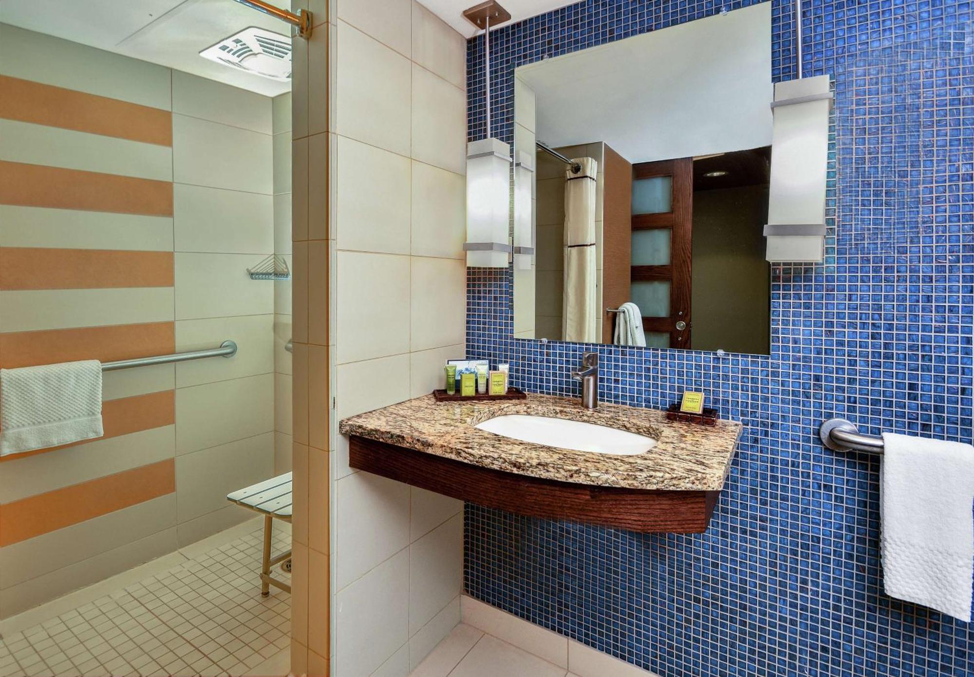 King Room with Roll-In Shower and City View - Mobility Access