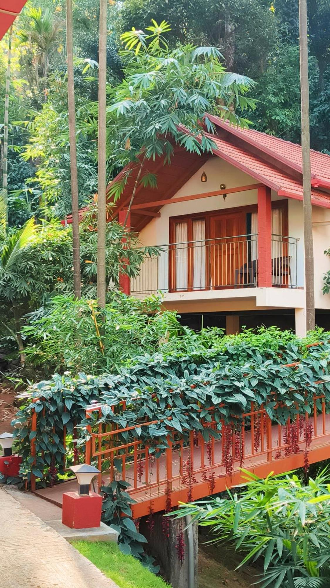 Suite Cottage