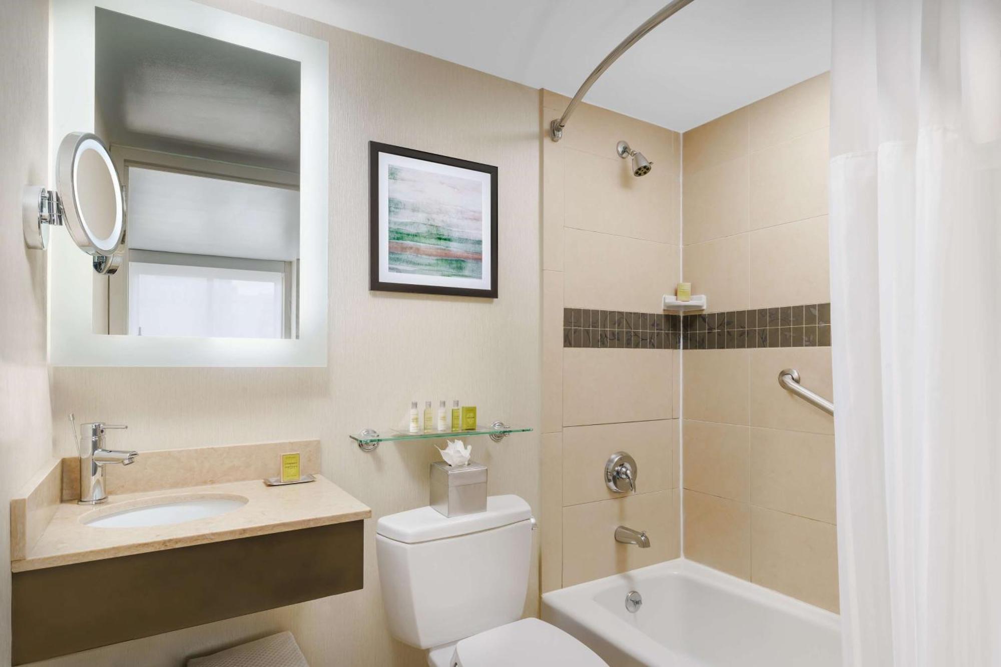 One-Bedroom King Suite with Sofa Bed - Non-Smoking