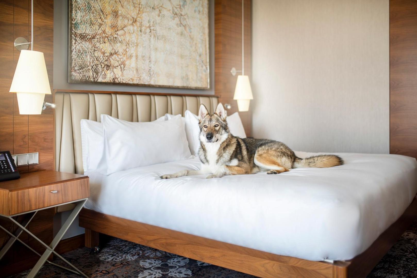 King Room with Sofa Bed