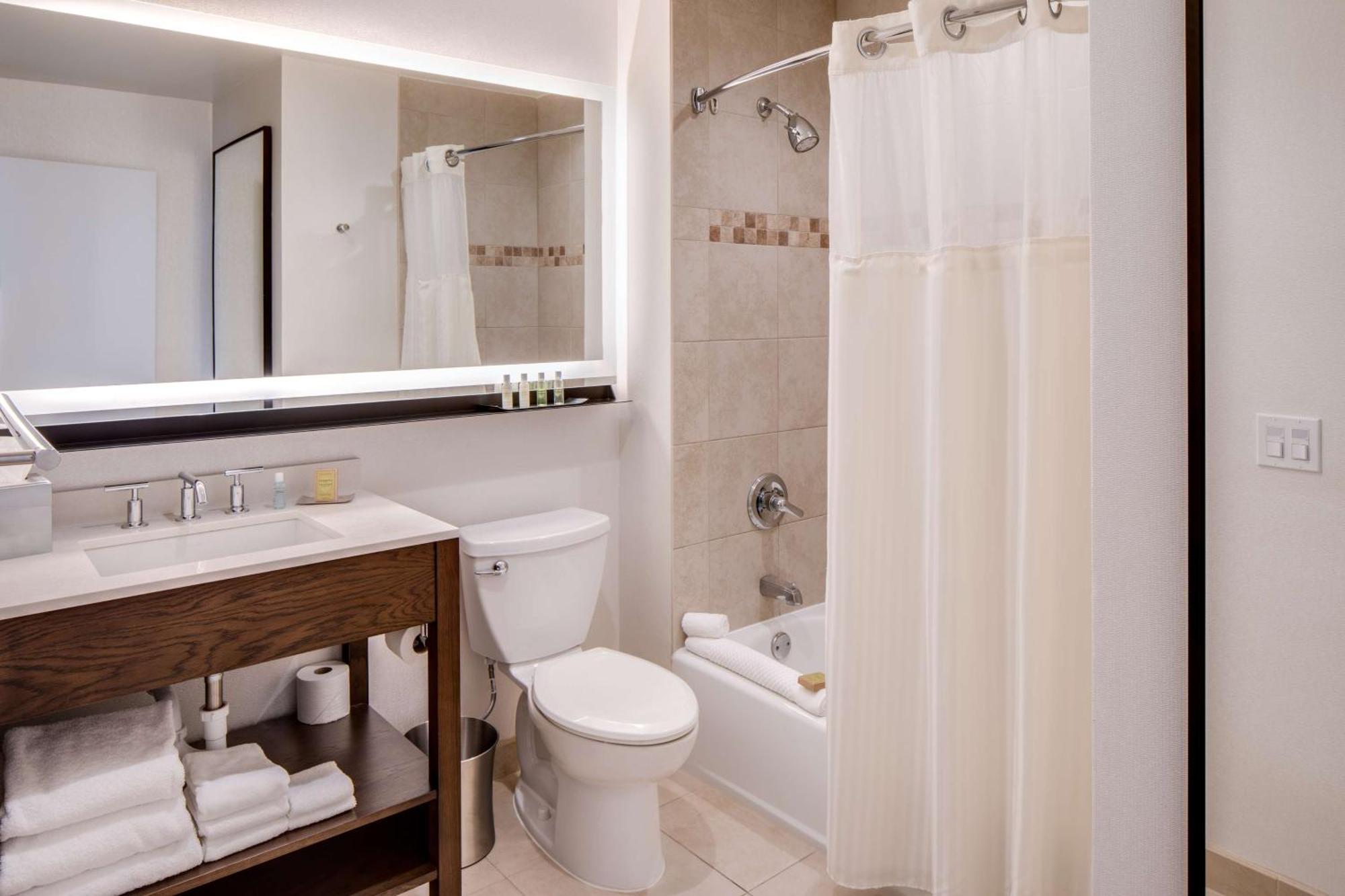 Junior King Suite with Sofa Bed
