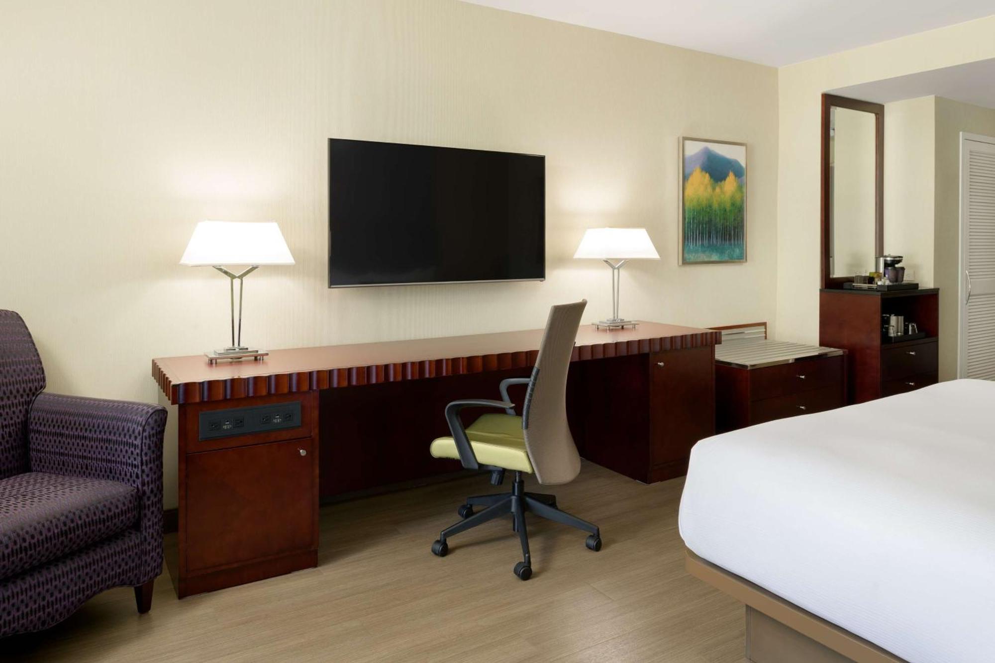 Deluxe King Room