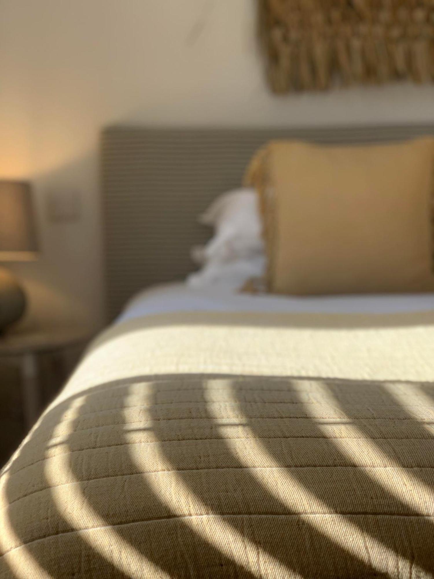 Large Suite - 4