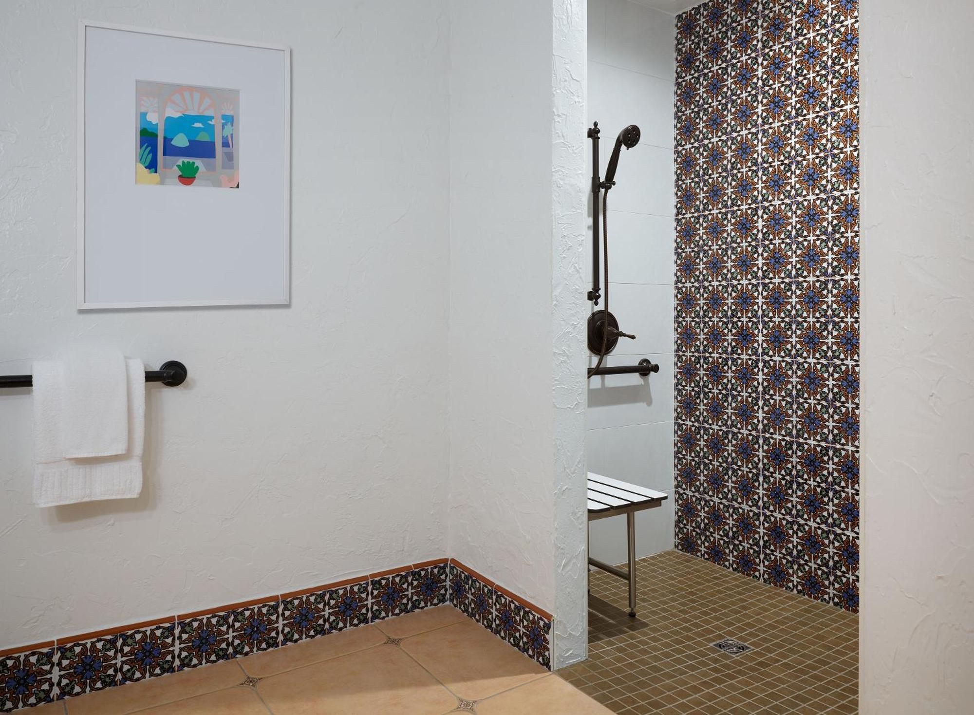 King Room Accessible Shower Disability Access