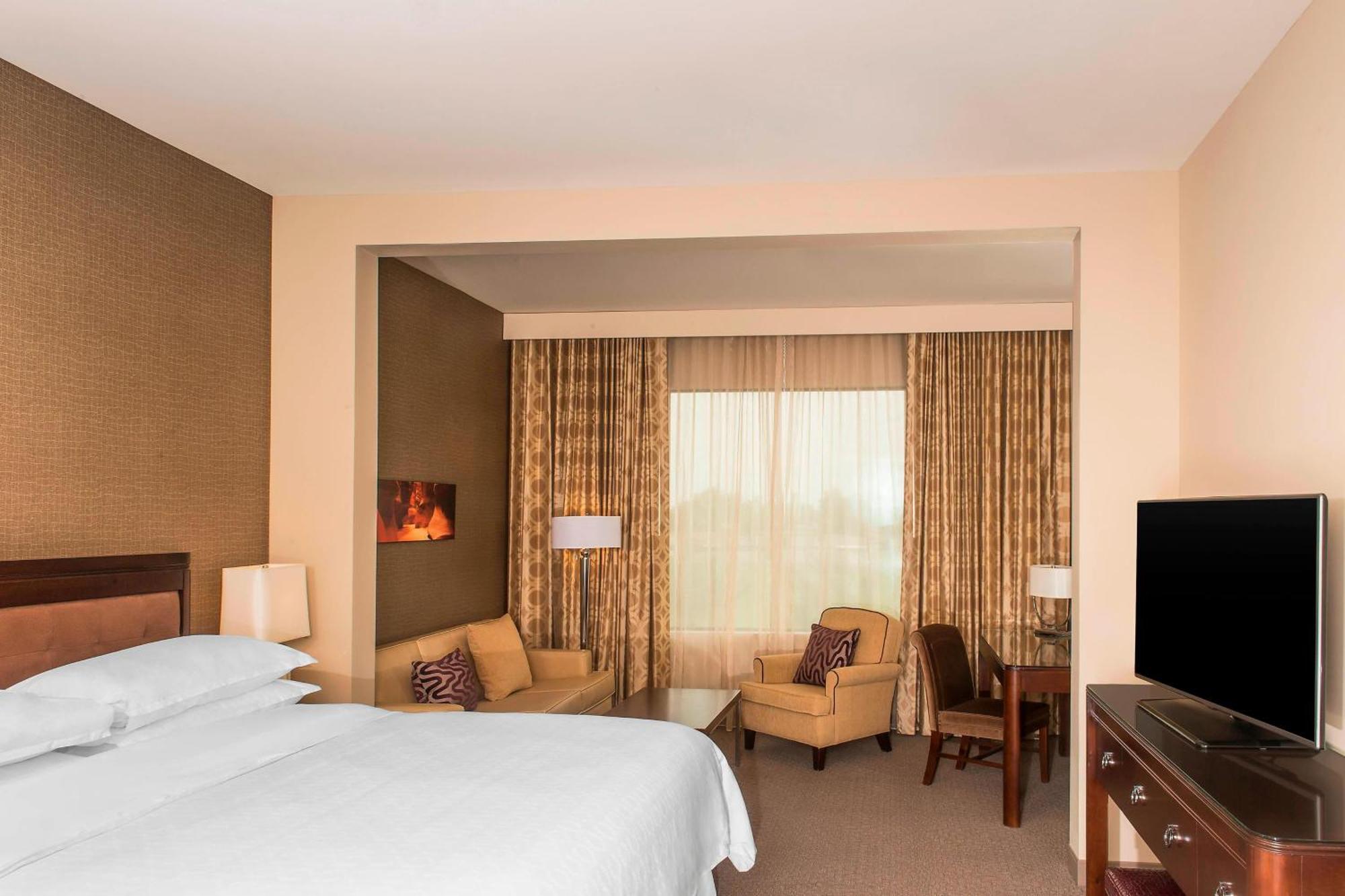 Larger Guest room, 1 King, Pool view, Balcony