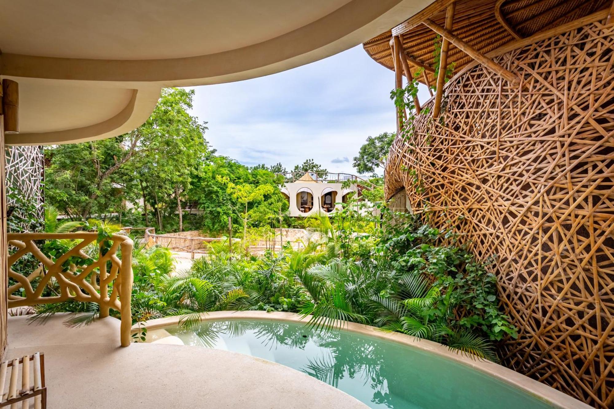 Deluxe King Studio Infinity Pool