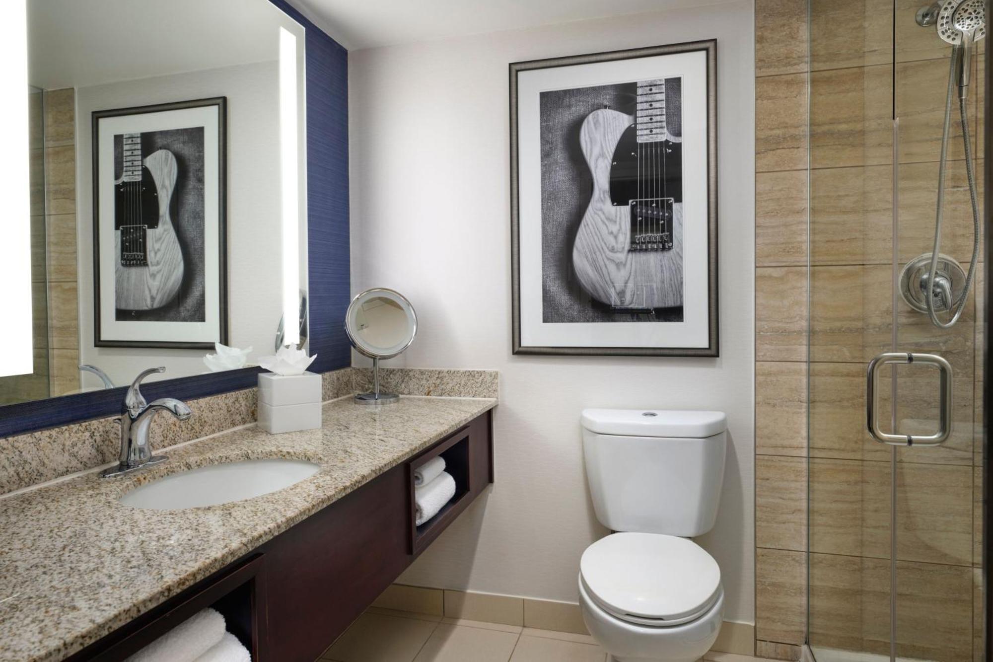Standard King Room Roll Shower City View Mobility Hearing Accessible