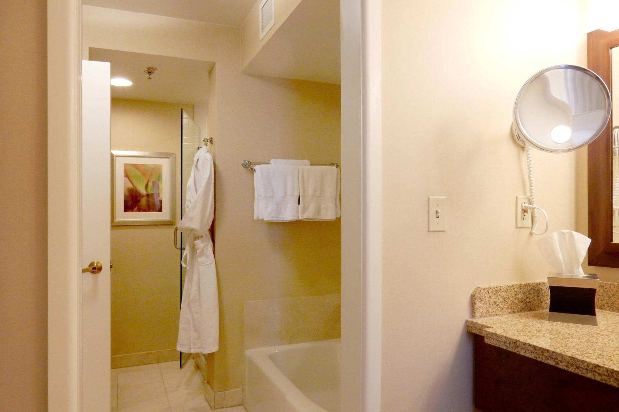 One-Bedroom Suite with Sofa Bed