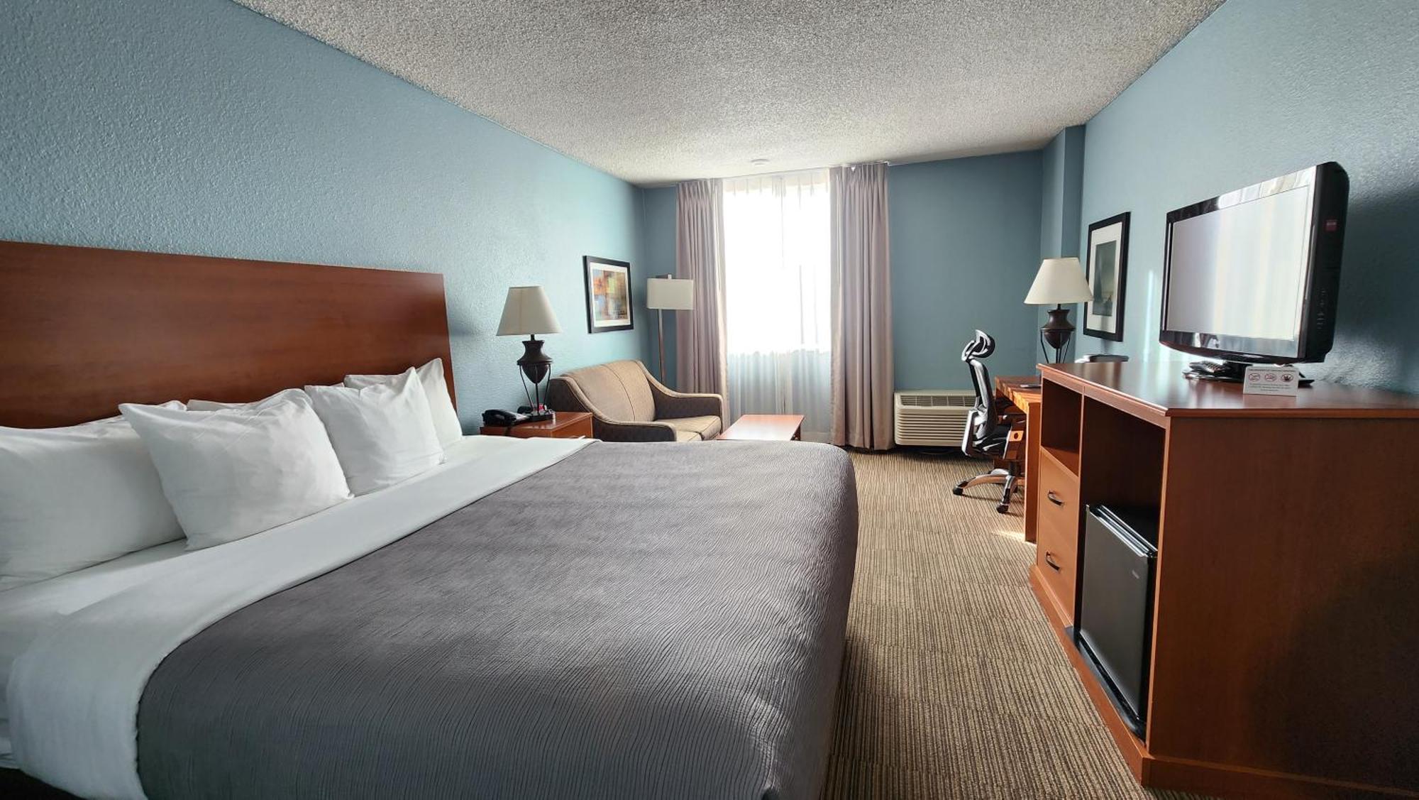King Room - Non-Smoking/Pet Friendly