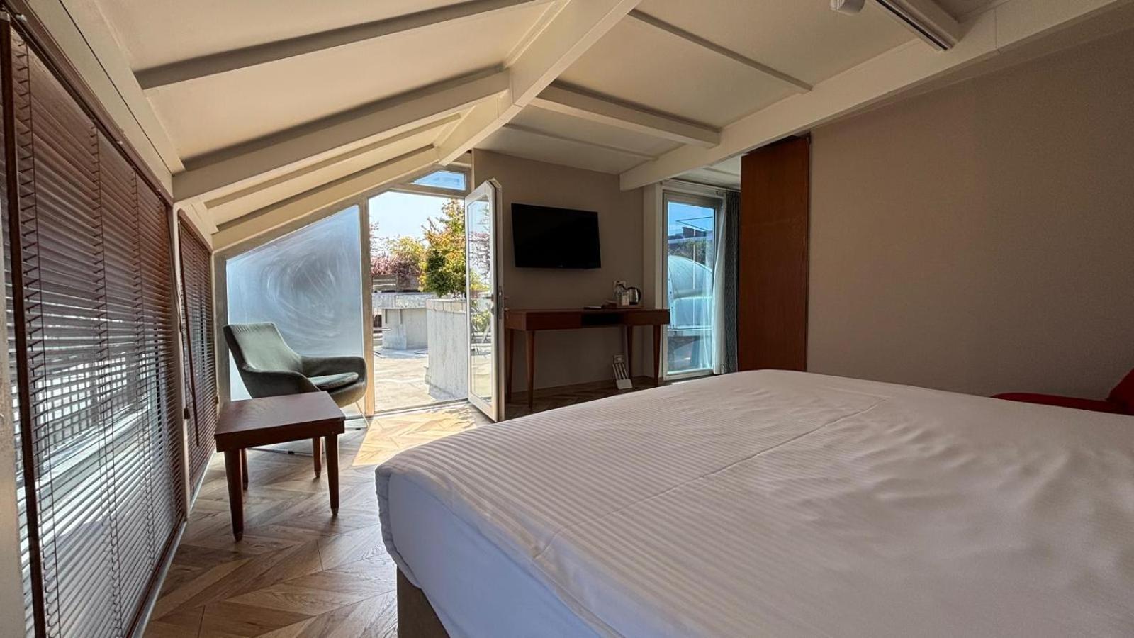 Double Room with Terrace