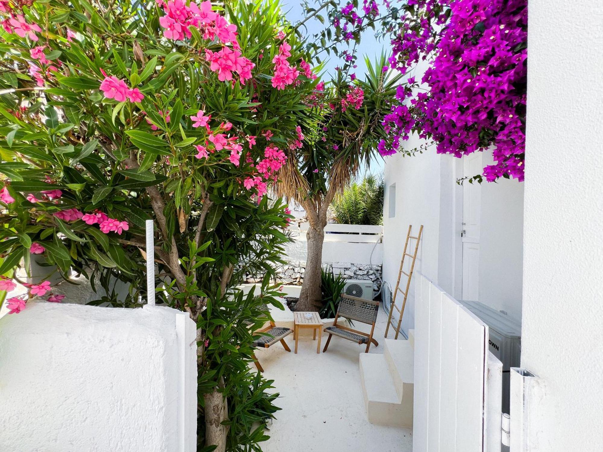 Double Room with Terrace