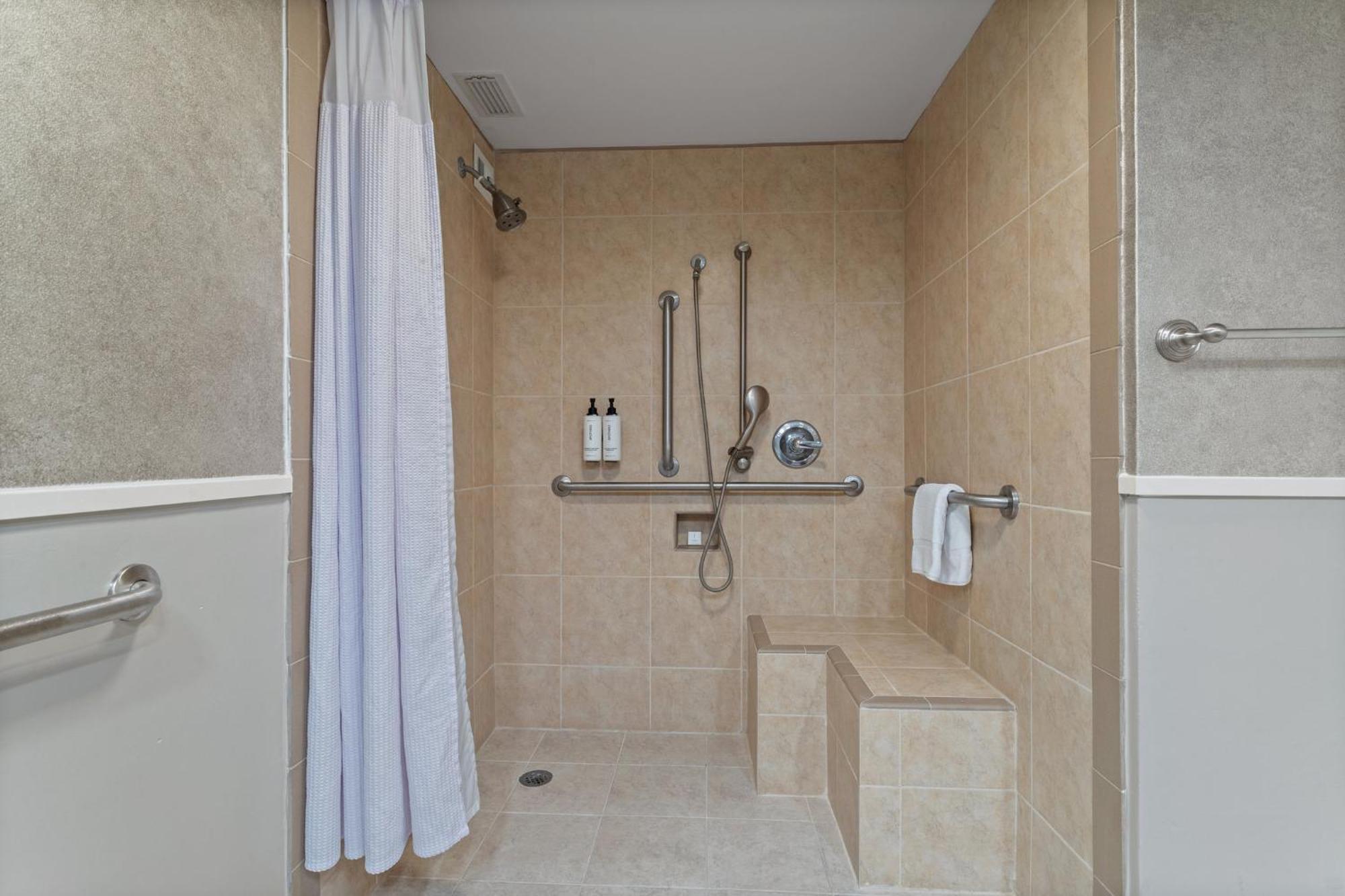 Standard King Room Accessible Roll Shower