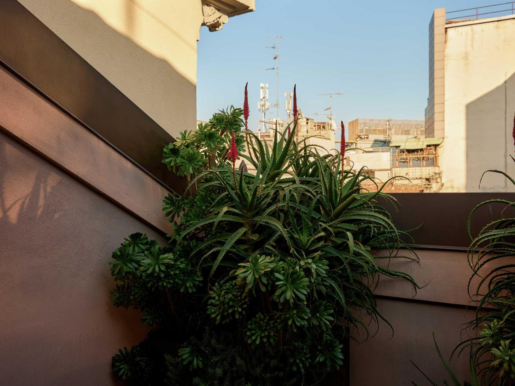 Junior Suite,1689822085:JPEG