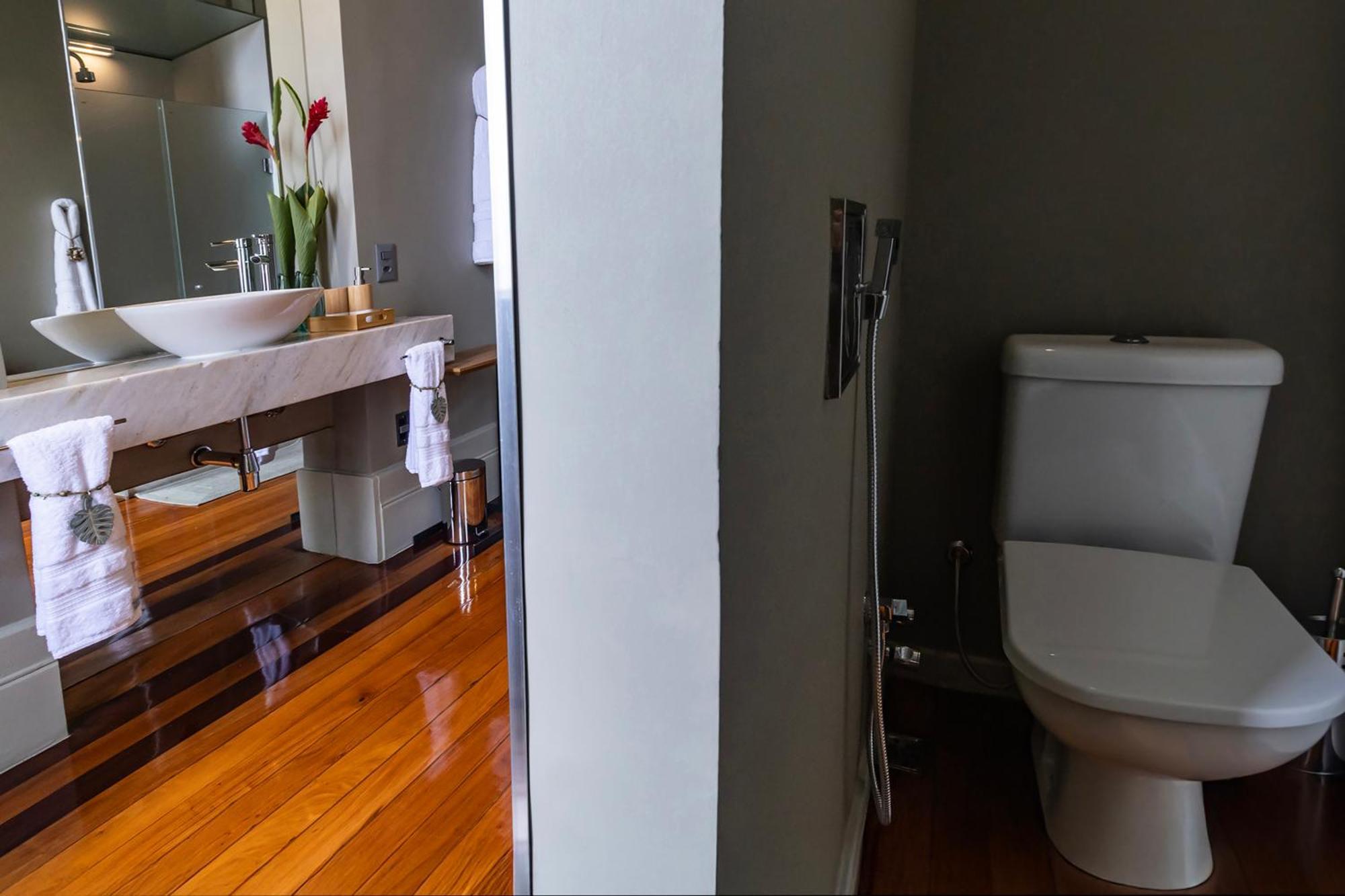 Deluxe Double or Twin Room with City View