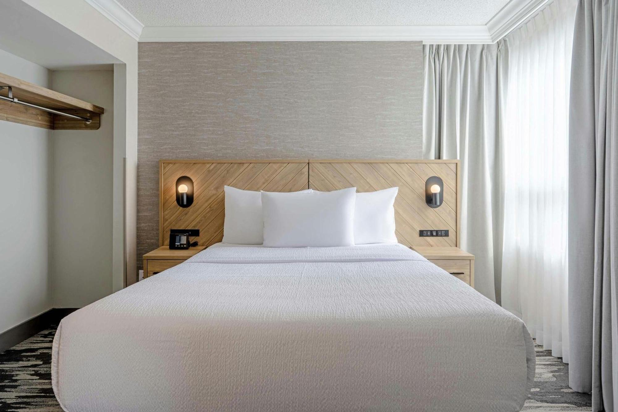 Standard Suite 1 Queen Bed, Sofa Bed, Kitchen