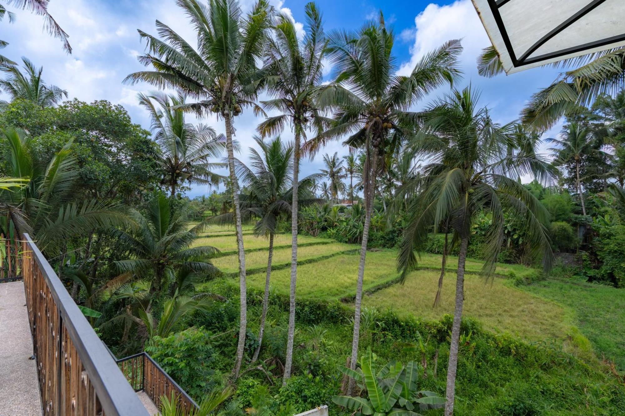 Twin Room with Balcony