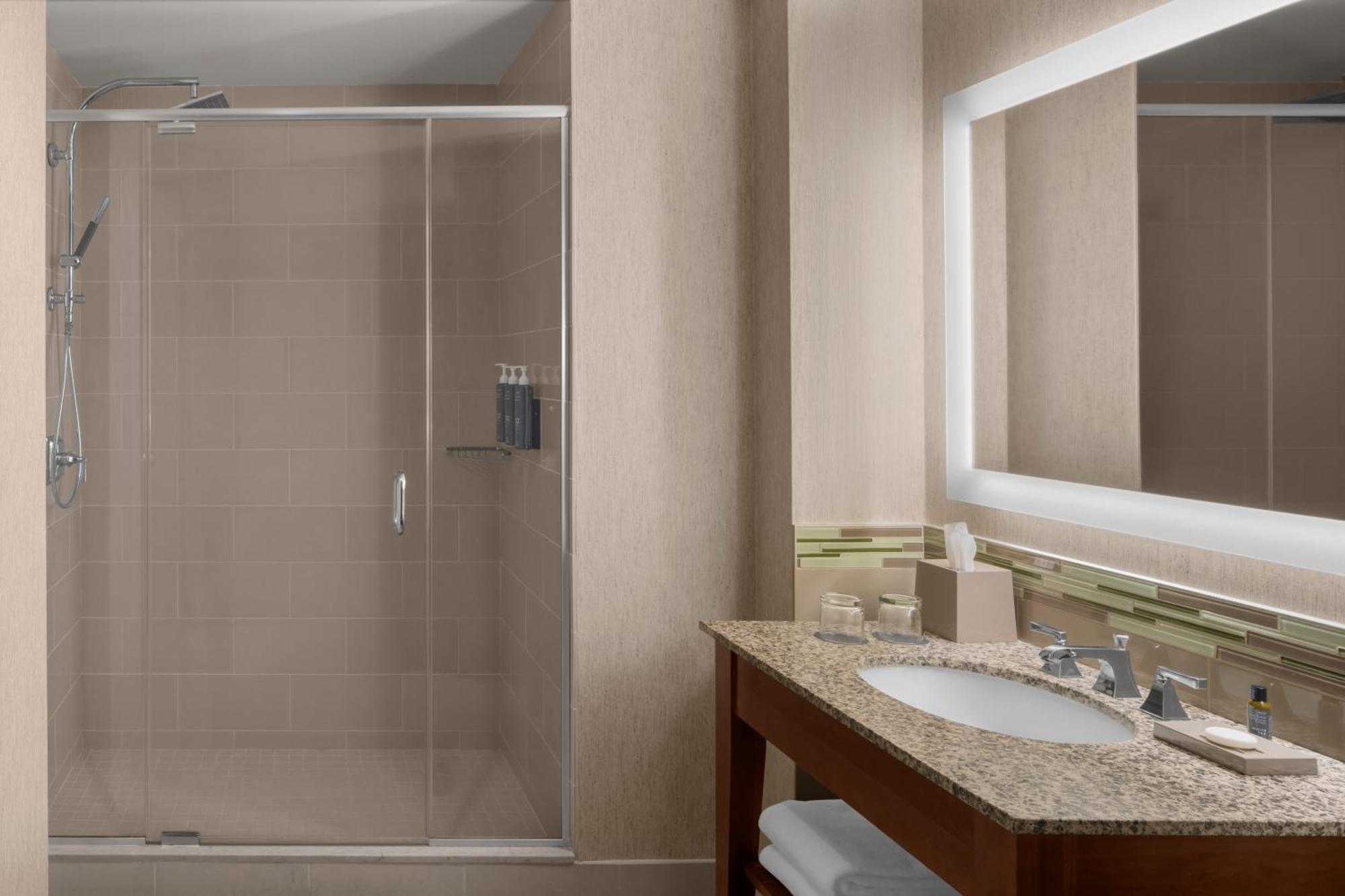 Executive Suite, 1 King, City view