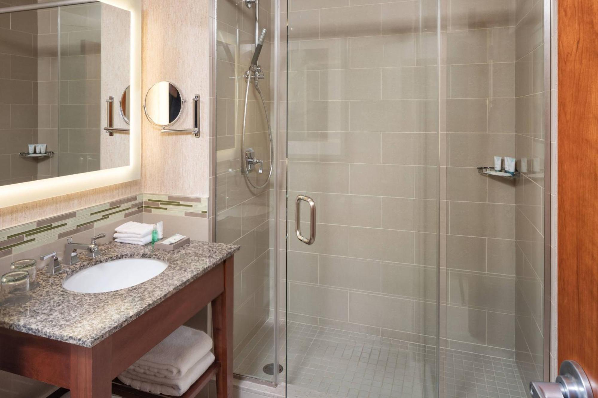 Larger Guest room, 1 King, City view