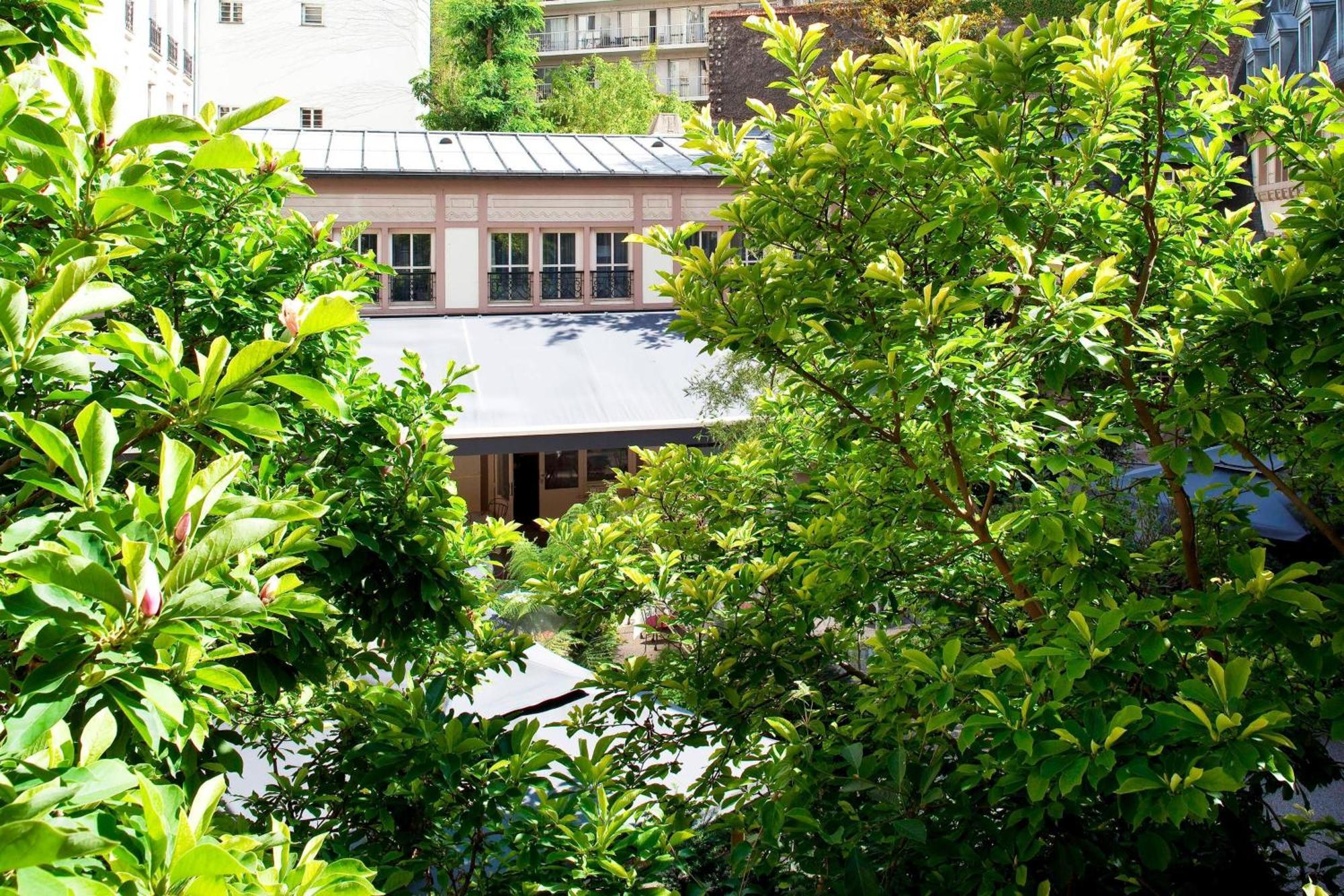 Deluxe Twin Room Garden View