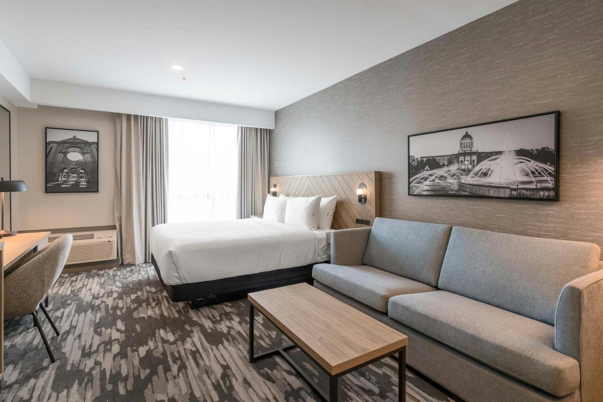 Standard Room, 1 King Bed, Sofa Bed, Euro Bathroom