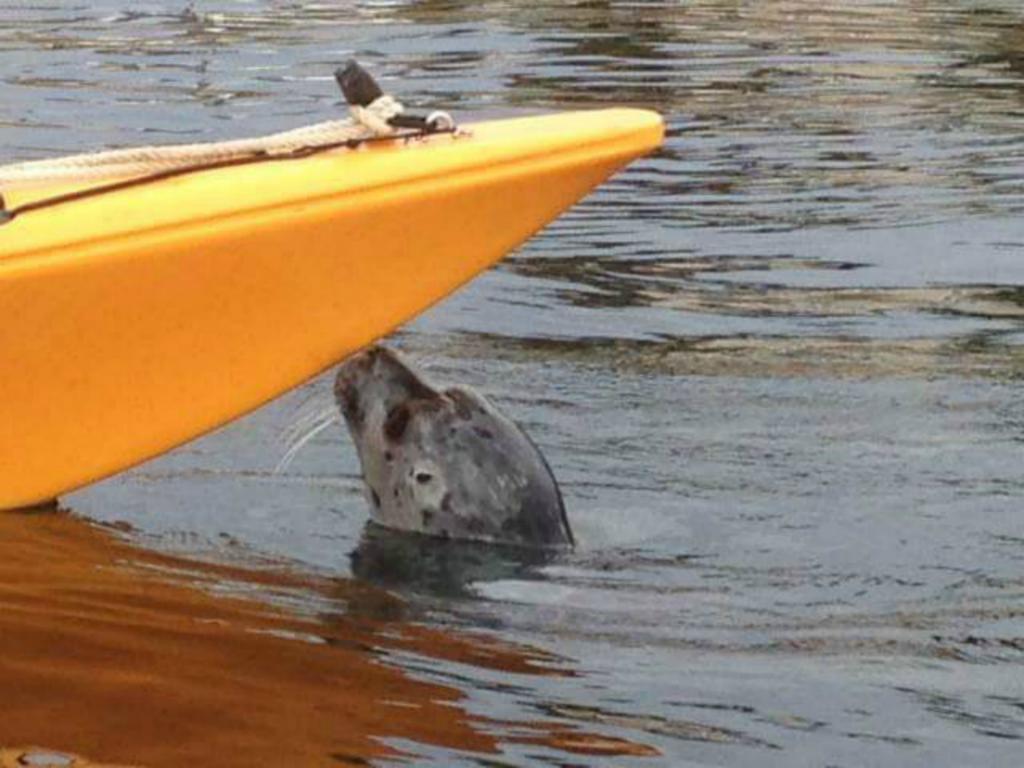 Double Room with Private Bathroom,228112697:JPEG