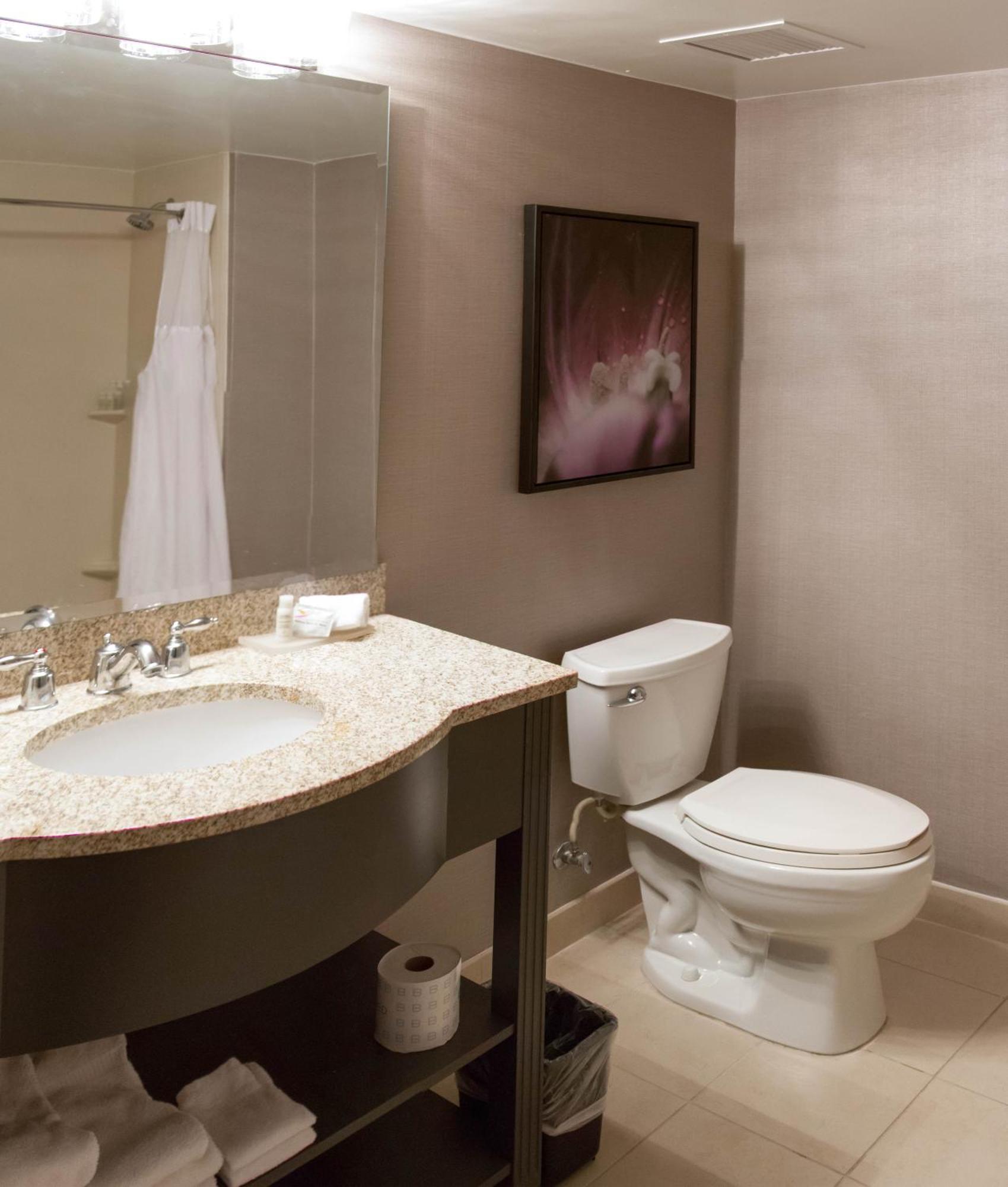 King Suite - Mobility Access/Non-Smoking