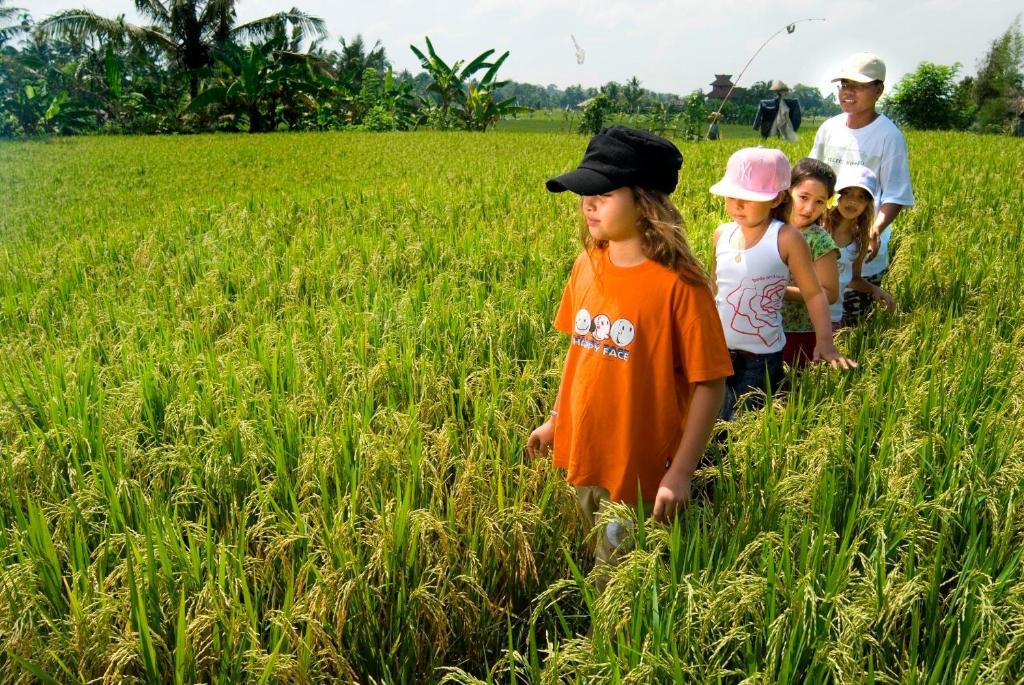 Two-bedroom Pool Villa Sungu