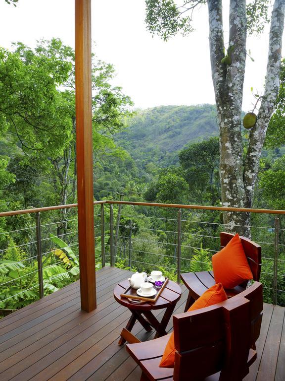 Mountain View Cottage
