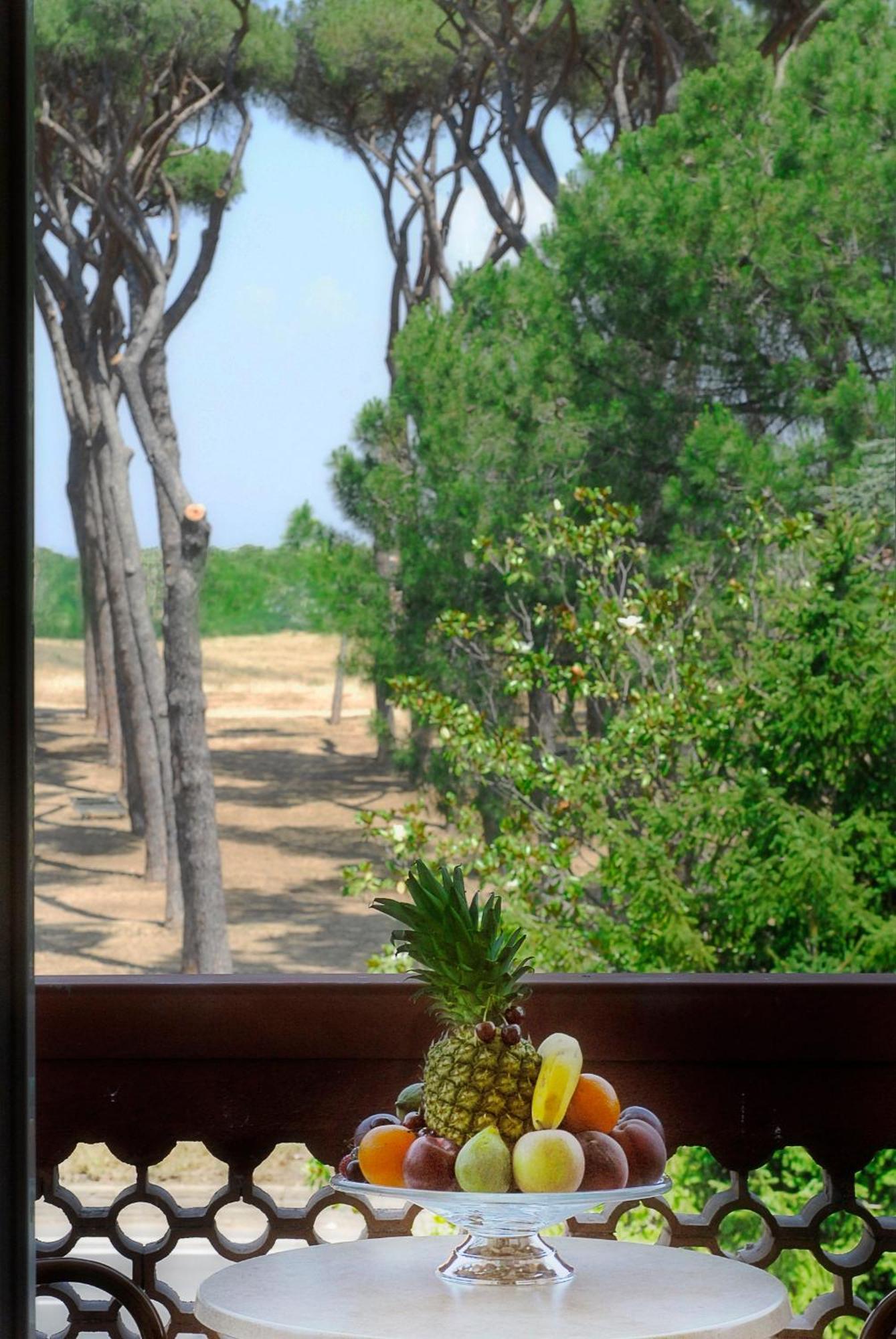 Double or Twin Room with Garden View