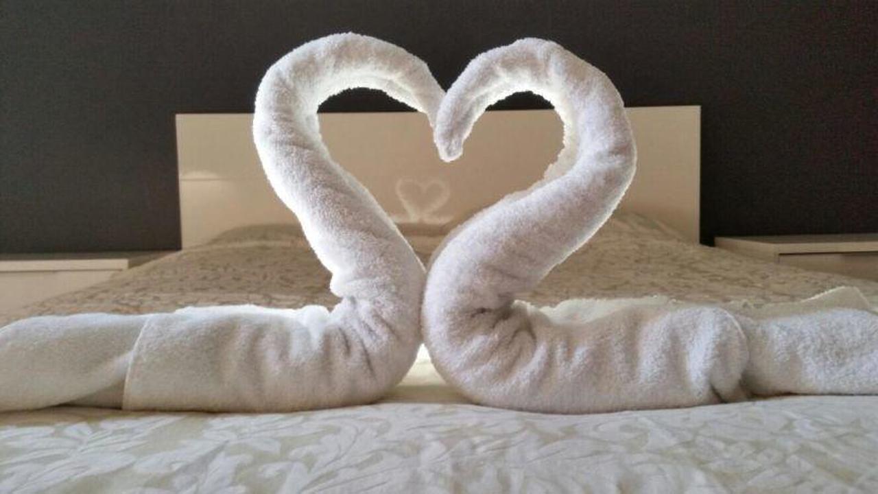 One Bedroom Apartment Twin Bed