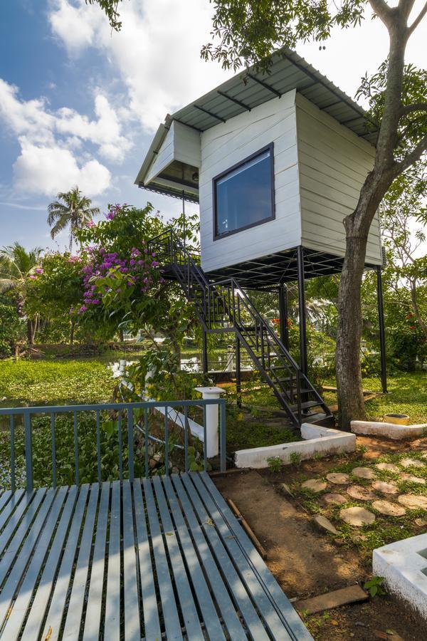 Queen Room,652800129:JPEG