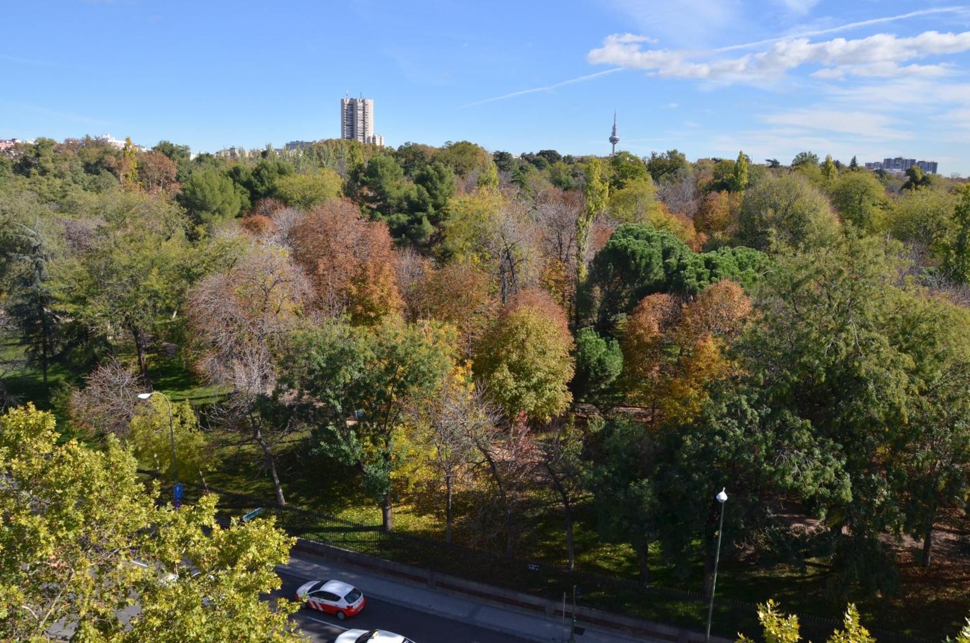 Deluxe One-Bedroom Apartment with Park View