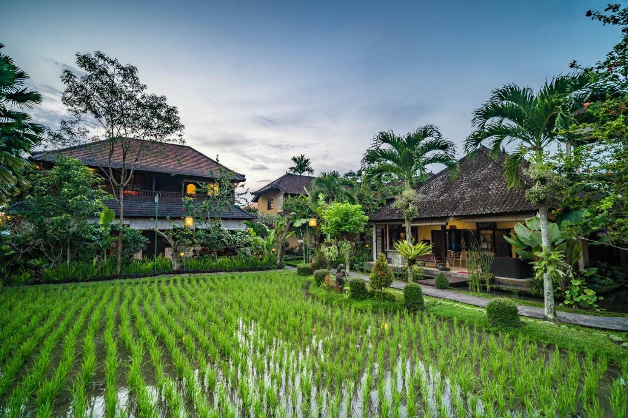 Deluxe Rice-field Room