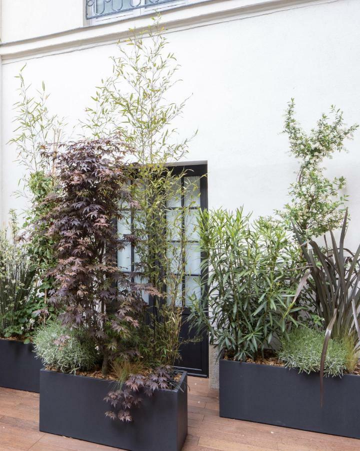 Executive Double Room Courtyard,789920508:JPEG